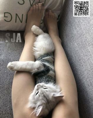 国产在线观看免费网站_DVD动漫免费观看